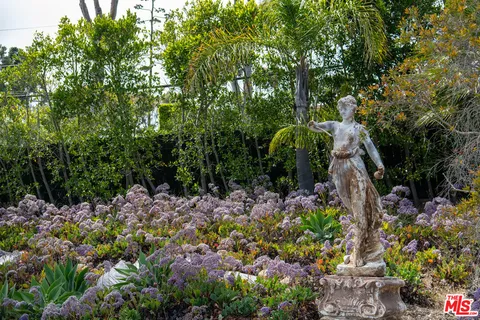 a view of a garden with plants and flowers