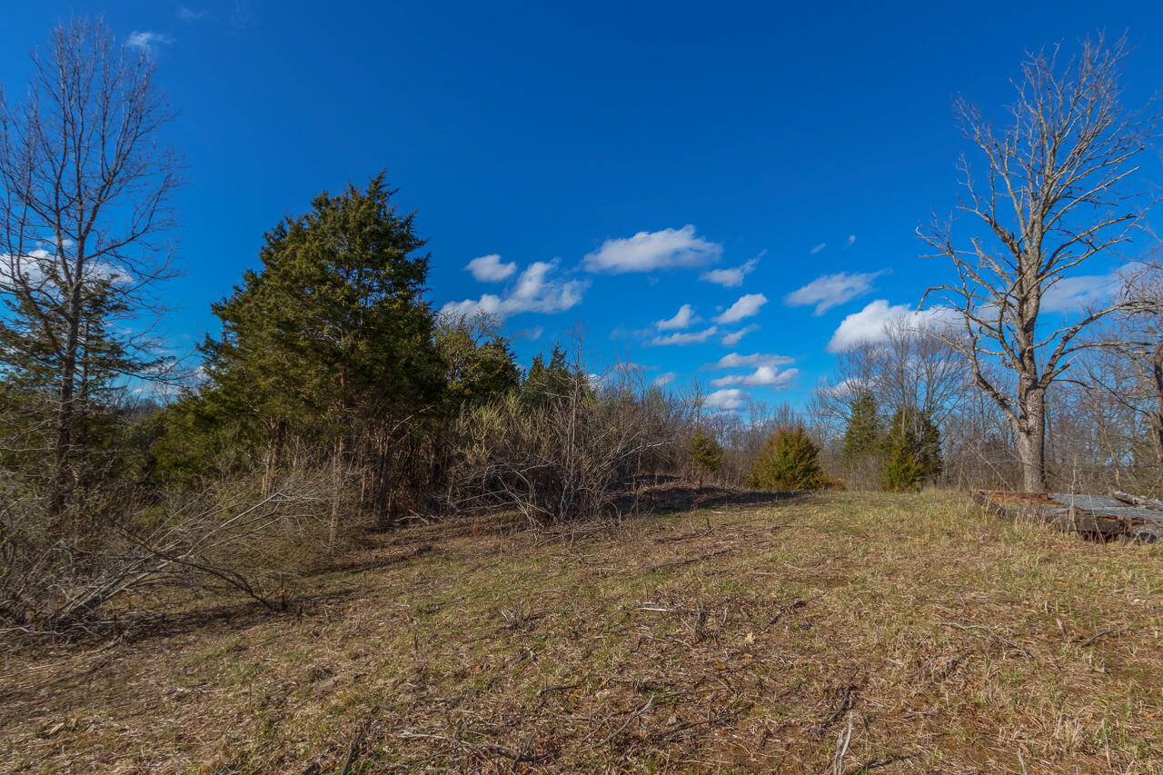 1 Camp Pleasant Road Frankfort, KY 40601 - Photo 48 of 67 089-2918-Cedar-Rd-Stamping-Ground-KY-403