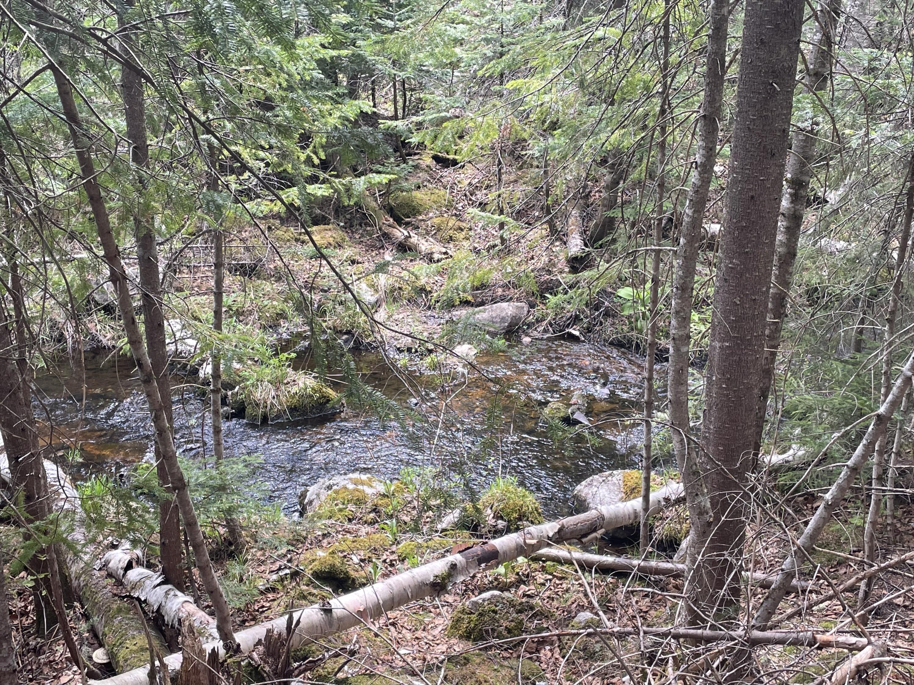 Lot 2.3 Bulldog Road West Forks, ME 04945 - Photo 2 of 4 IMG_3386