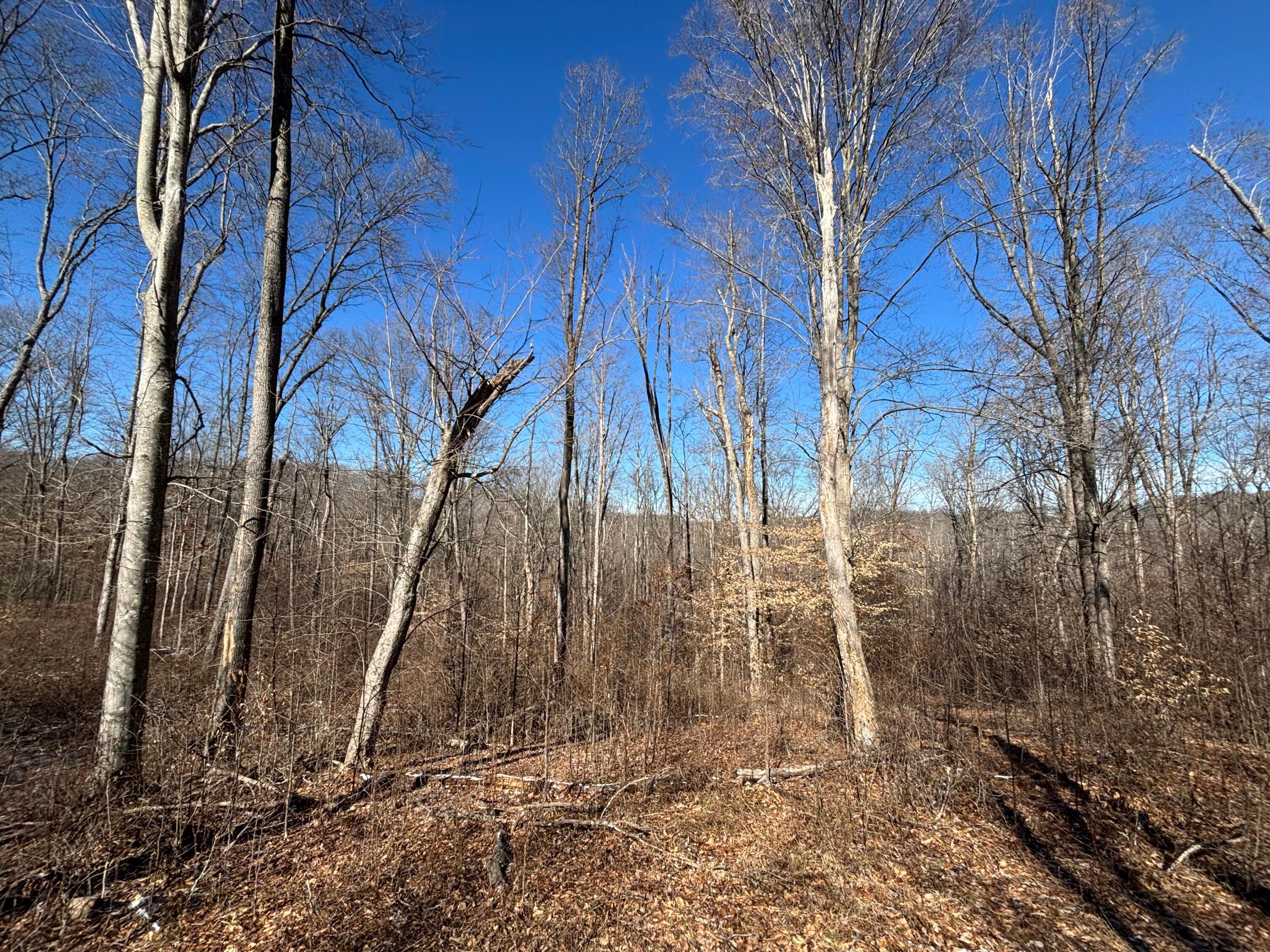 0 McKee Road McArthur, OH 45651 - Photo 13 of 19 IMG_2017