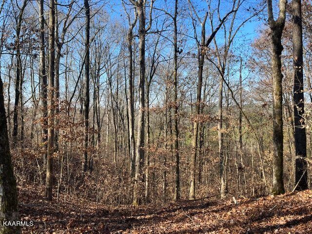 41 Athens Road Delano, TN 37325 - Photo 4 of 34