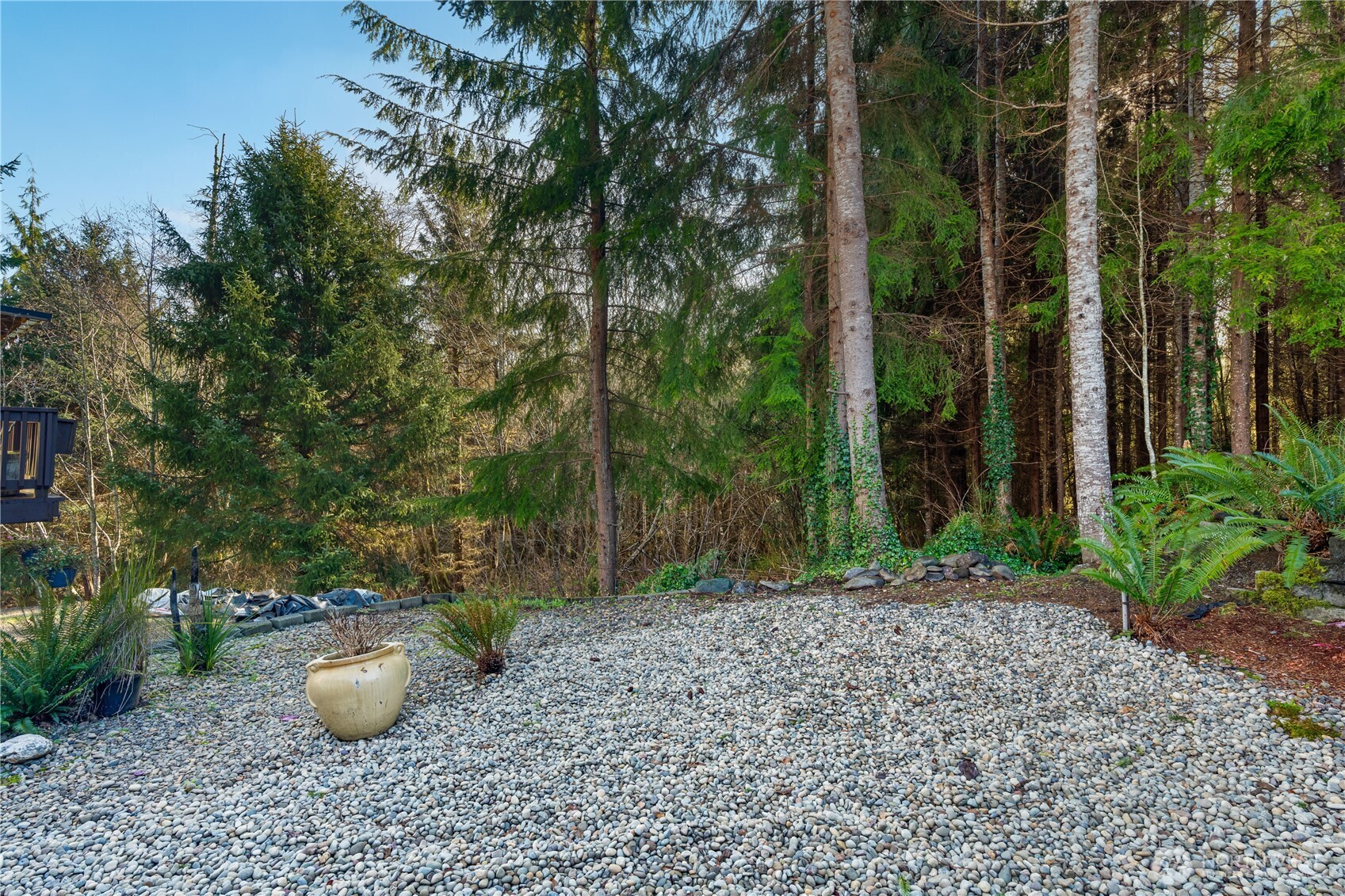 405 Andrews Avenue Cosmopolis, WA 98537 - Photo 26 of 34 a backyard of a house with lots of green space