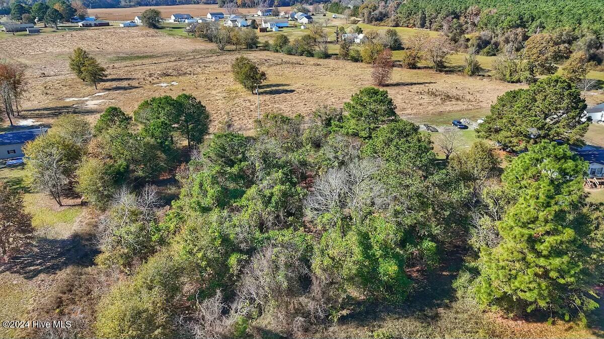0 County Line Road La Grange, NC 28551 - Photo 2 of 38 tempImagesN3DXa
