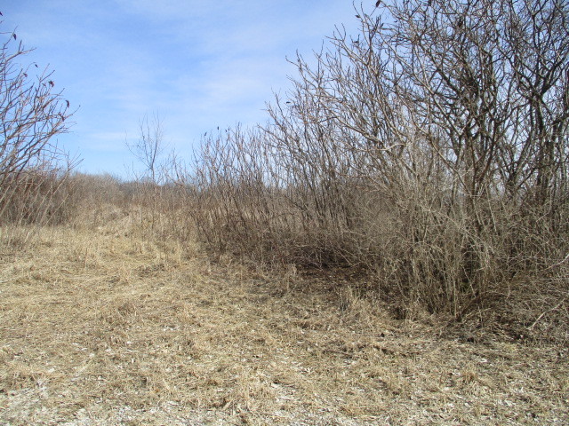 16863 Hartman Road Davis, IL 61019 - Photo 1 of 4 a view of a yard
