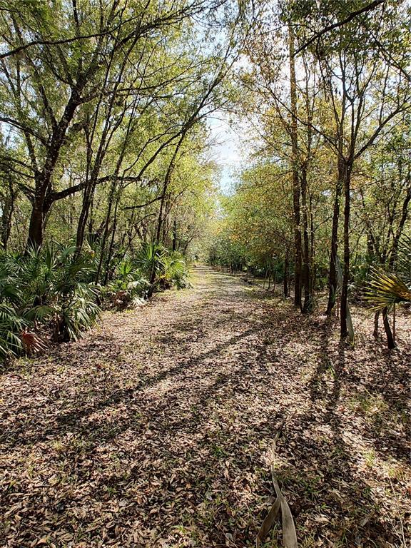1991 Northwest Girl Scout Road Arcadia, FL 34266 - Photo 1 of 1 a view of outdoor space and yard