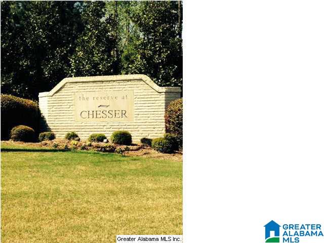 206 Chesser Reserve Drive Chelsea, AL 35043 - Photo 2 of 5