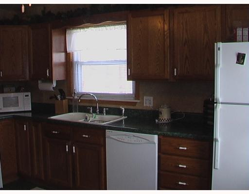 13720 East Austin Road Manchester, MI 48158 - Photo 4 of 10 Photo 4