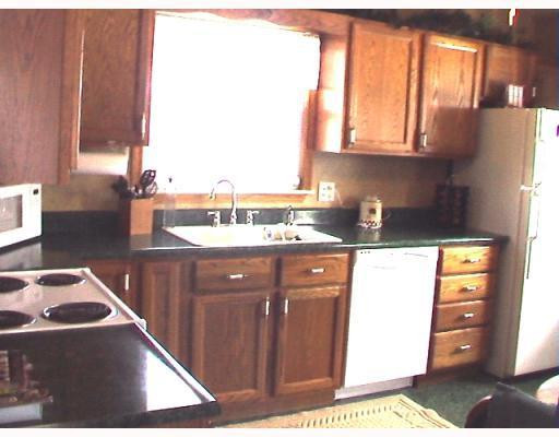 13720 East Austin Road Manchester, MI 48158 - Photo 5 of 10 Photo 5