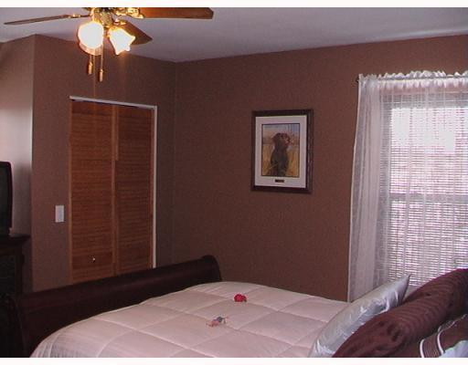 13720 East Austin Road Manchester, MI 48158 - Photo 8 of 10 Photo 8