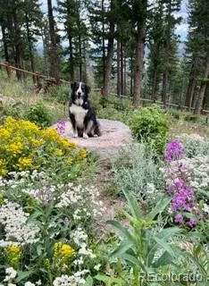 $1,250,000 | 116 Ramona Road, Golden, CO 80403