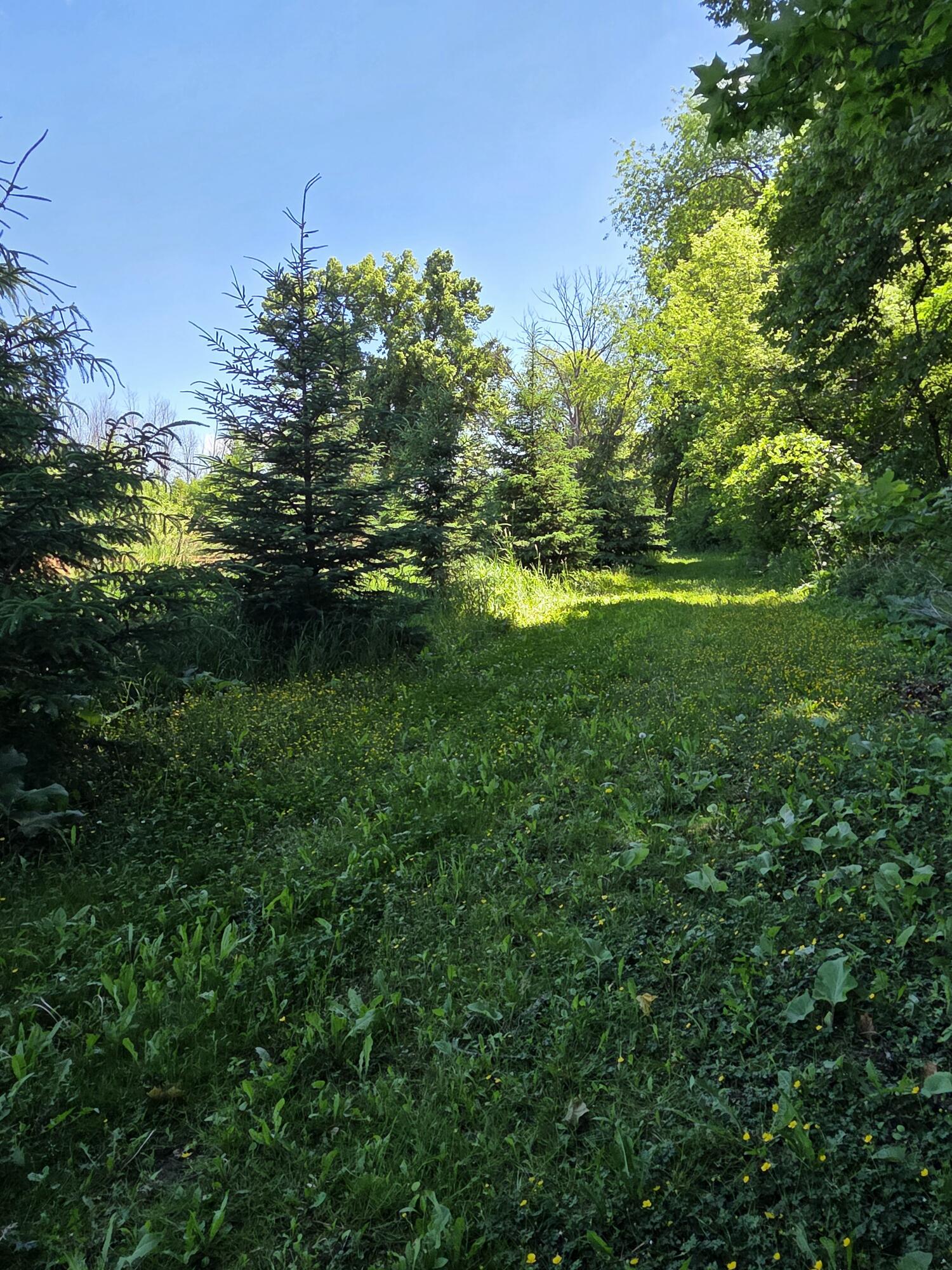 W985 Fur Farm Road New Holstein, WI 53061 - Photo 42 of 57 11998