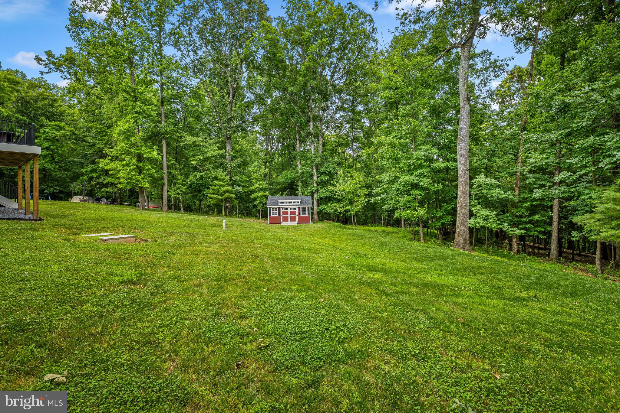 14536 Black Ankle Road Mount Airy, MD 21771 - Photo 38 of 41 Serene backyard oasis with lush greenery.