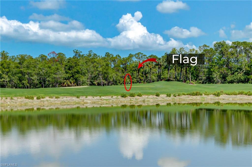 8600 Cedar Hammock Circle, Unit 1313 Naples, FL 34112 - Photo 31 of 41 a view of a lake with a yard