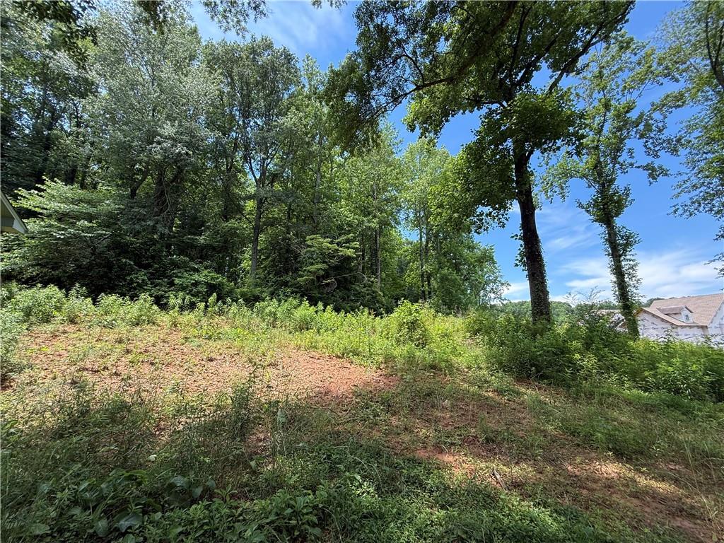5075 Karr Road Cumming, GA 30040 - Photo 18 of 38 a view of a yard with plants and a tree