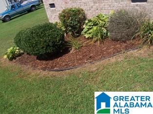 151 Hawk Pass Anniston, AL 36207 - Photo 36 of 36