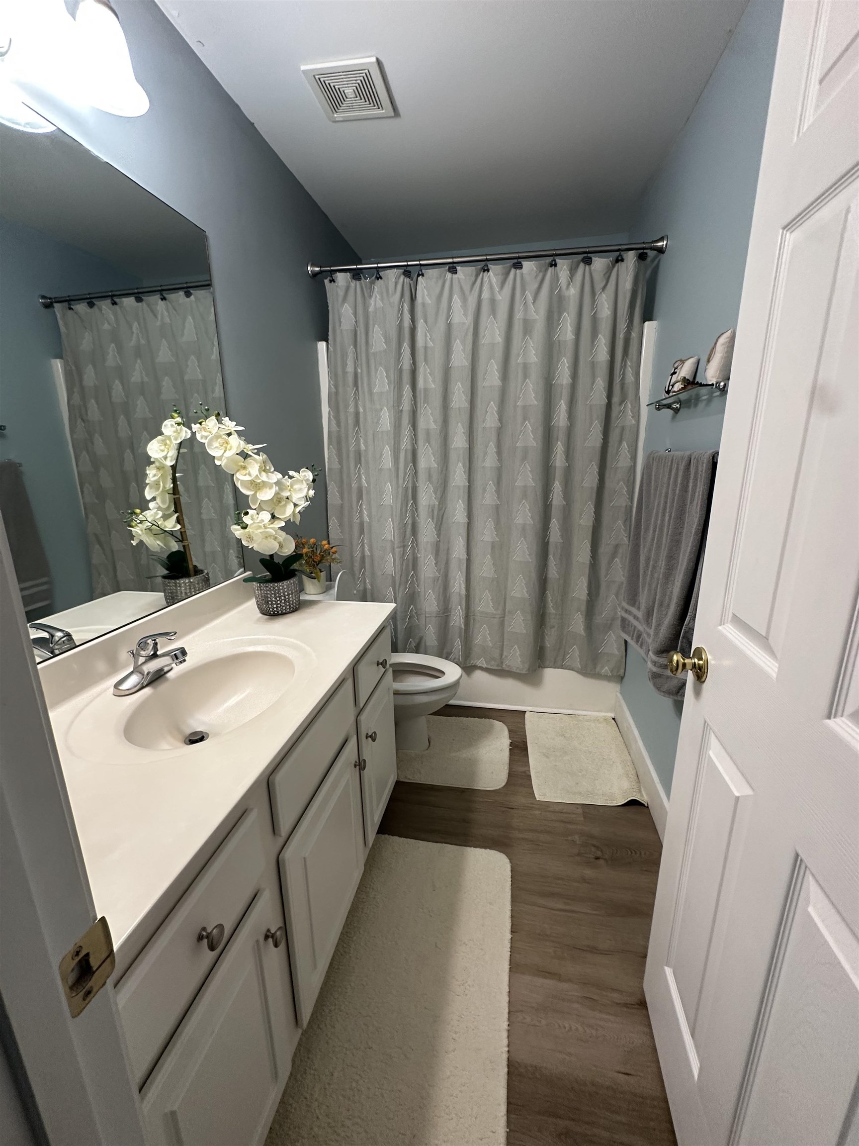 663 Flintrock Drive Boiling Springs, SC 29316 - Photo 18 of 19