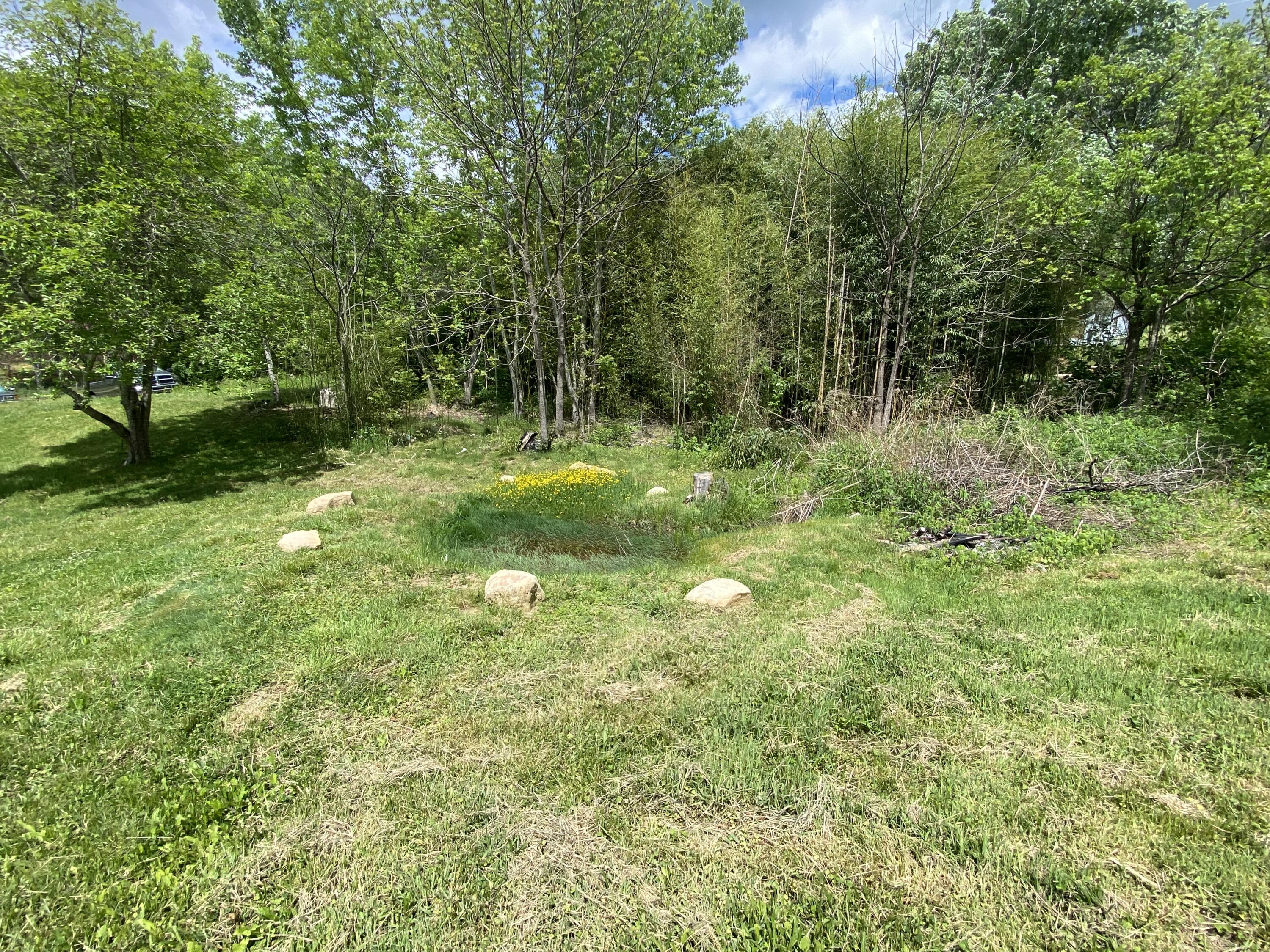 330 Grindstaff Road Butler, TN 37640 - Photo 11 of 15 48118019-8241-4F2D-A212-E5C0FD295666