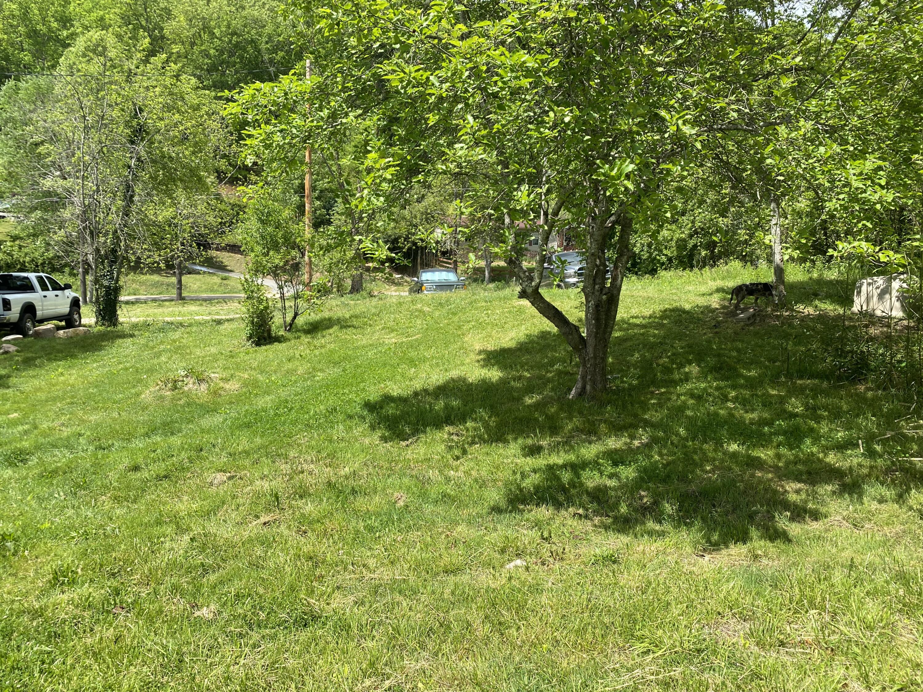 330 Grindstaff Road Butler, TN 37640 - Photo 12 of 15 0EAAD9E5-0446-4CE6-93EC-22083A8A701D