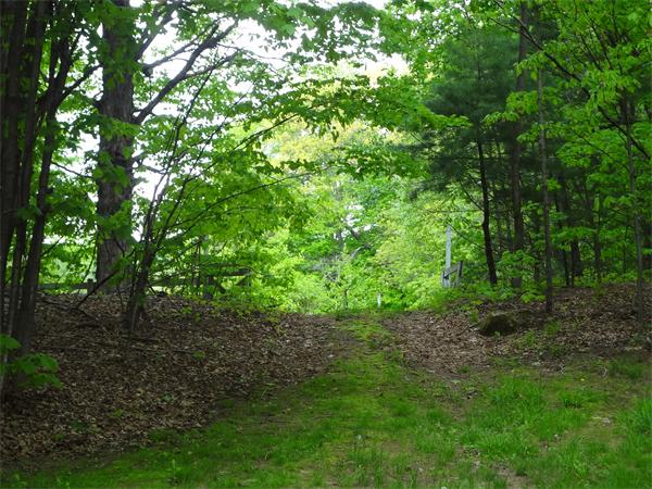 Lot 0 Bennett Road Hampden, MA 01036 - Photo 8 of 8 Gallery Image 8