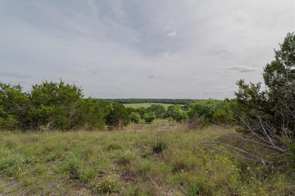 Tbd Mustang Road Purmela, TX 76566 - Photo 3 of 11 a view of a field of grass and trees