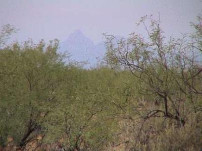 0 South Marstellar Road South Tucson, AZ 85736 - Photo 3 of 3