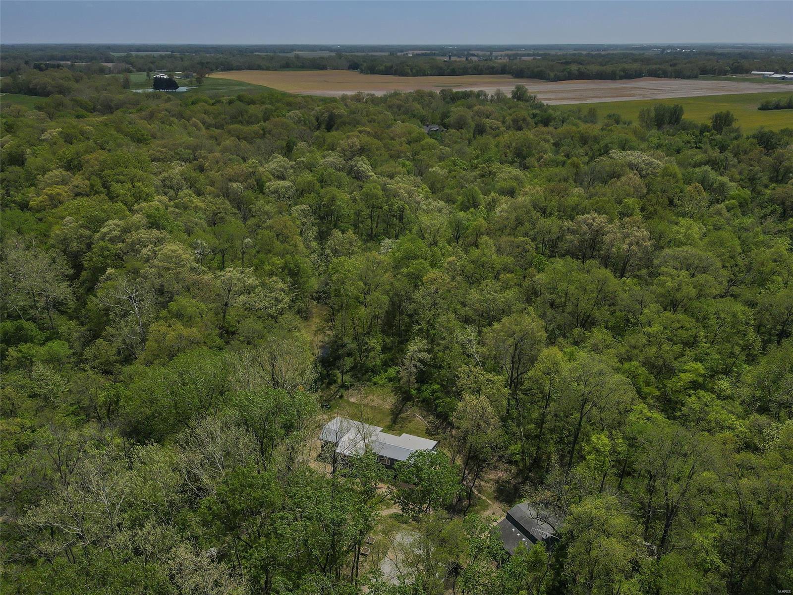 8272 Bethalto Road Dorsey, IL 62021 - Photo 42 of 51