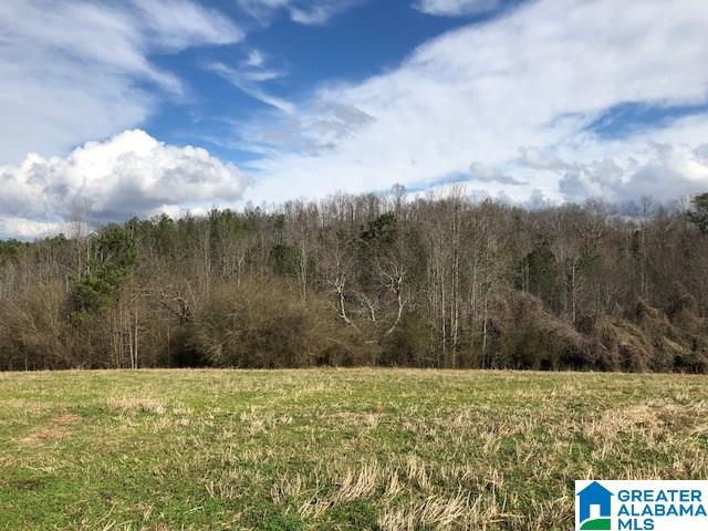 206 County Road, Unit 34 Wedowee, AL 36278 - Photo 1 of 8