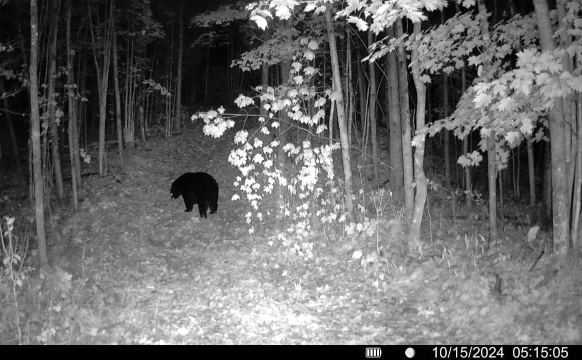 N11453 Cth F Phillips, WI 54555 - Photo 53 of 56 Gallery Image 53