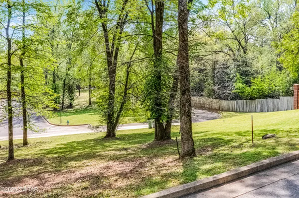 a view of a yard with trees