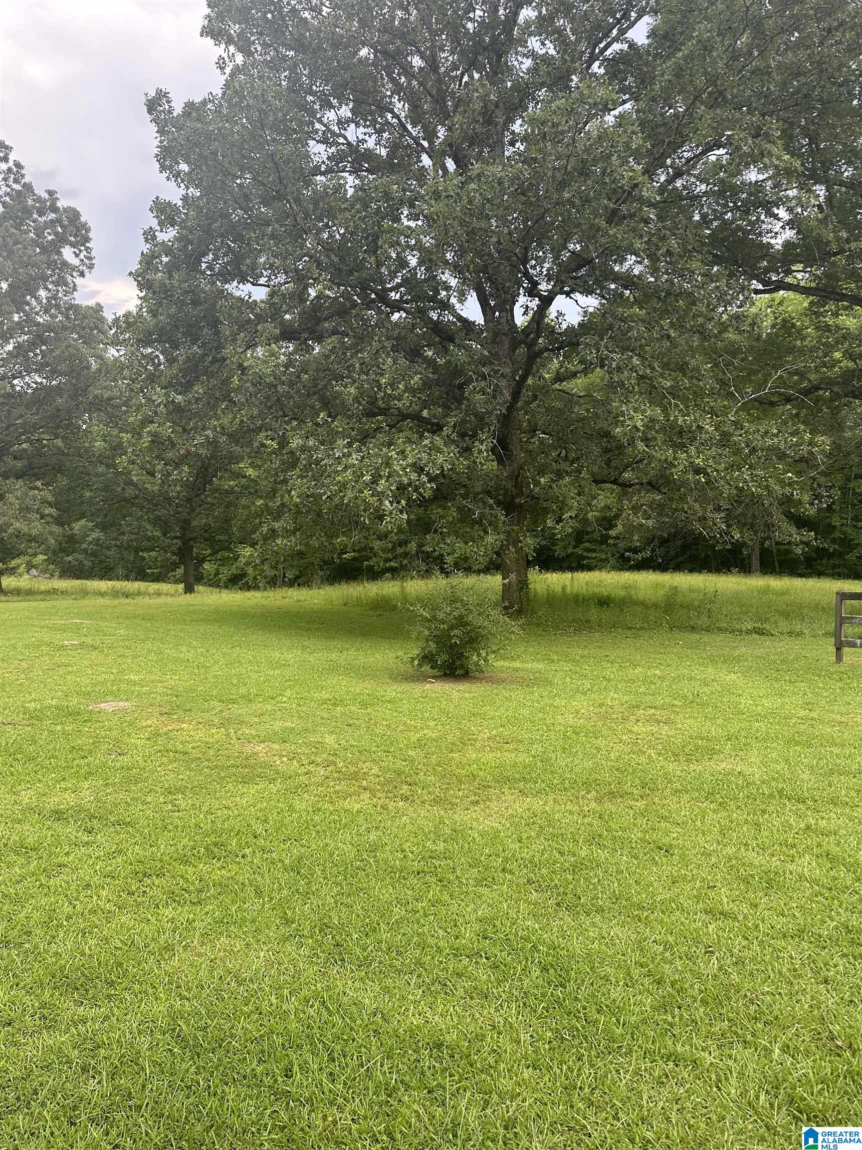 787 New County Line Road Sylacauga, AL 35151 - Photo 20 of 38
