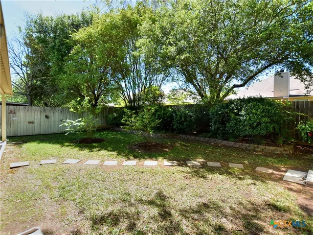 a view of a tree in a yard