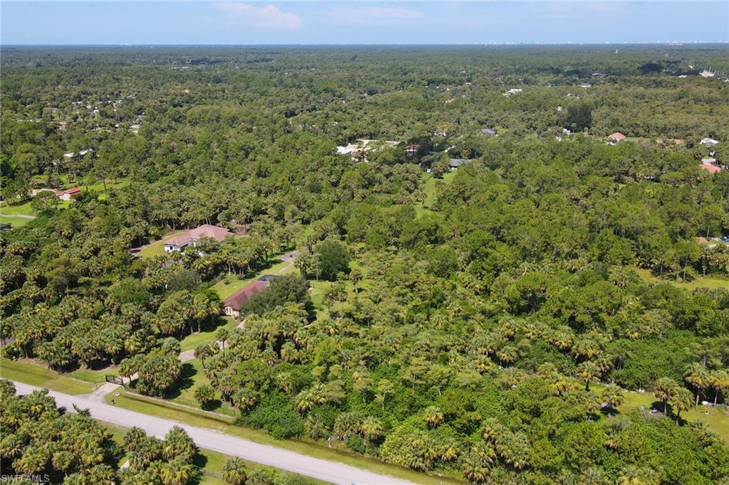 121 15th Street Southwest Naples, FL 34117 - Photo 5 of 8 a view of a green field with lots of bushes
