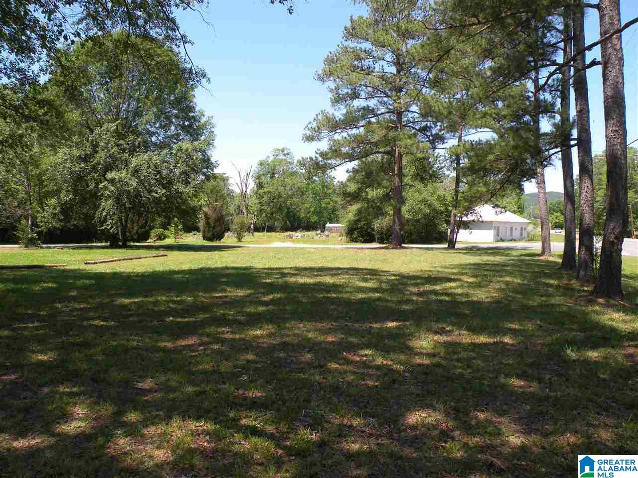 29 Gantts Junction Road, Unit 1 Sylacauga, AL 35150 - Photo 2 of 3