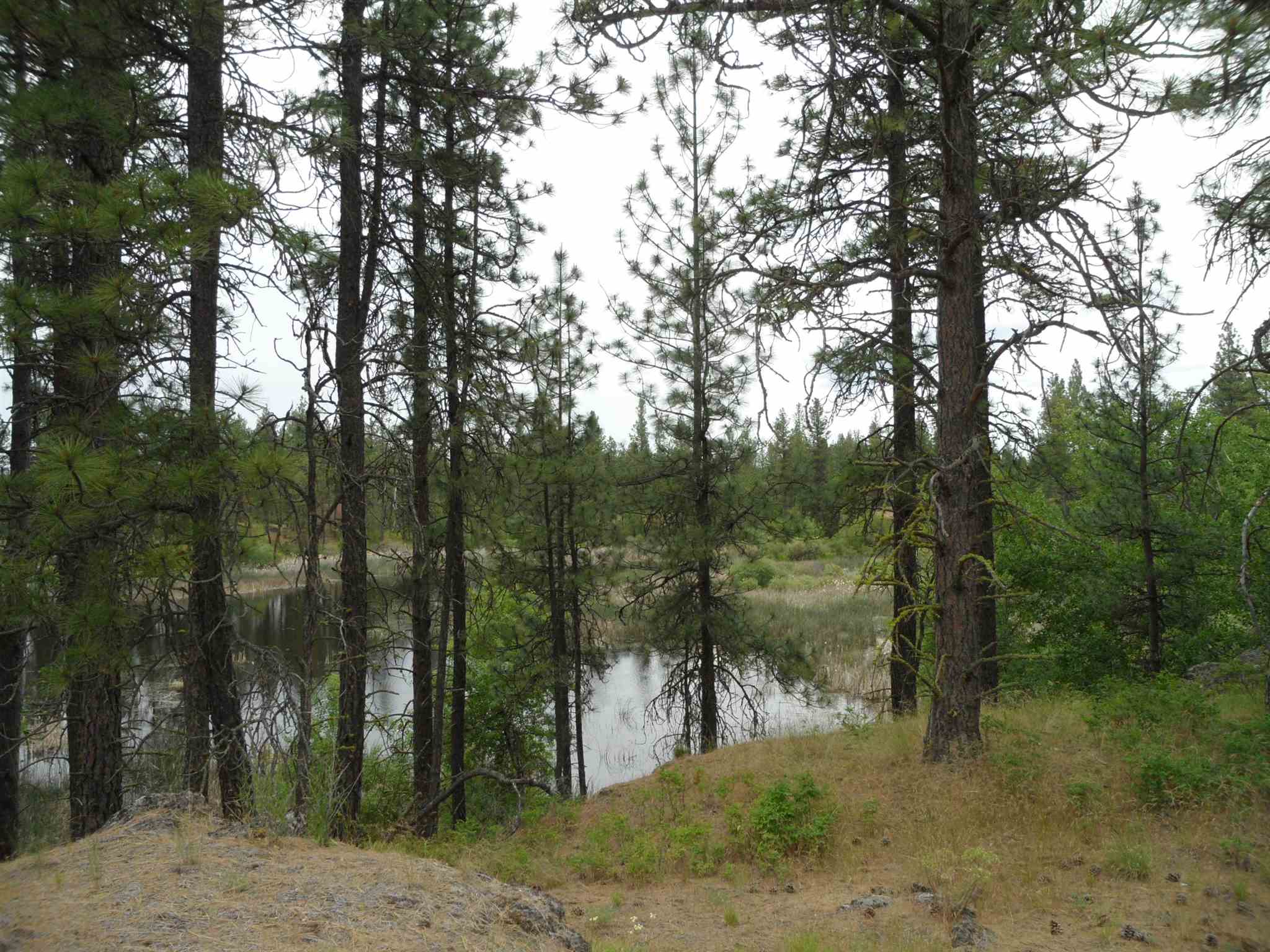 21121 West Salnave Road Cheney, WA 99004 - Photo 1 of 30