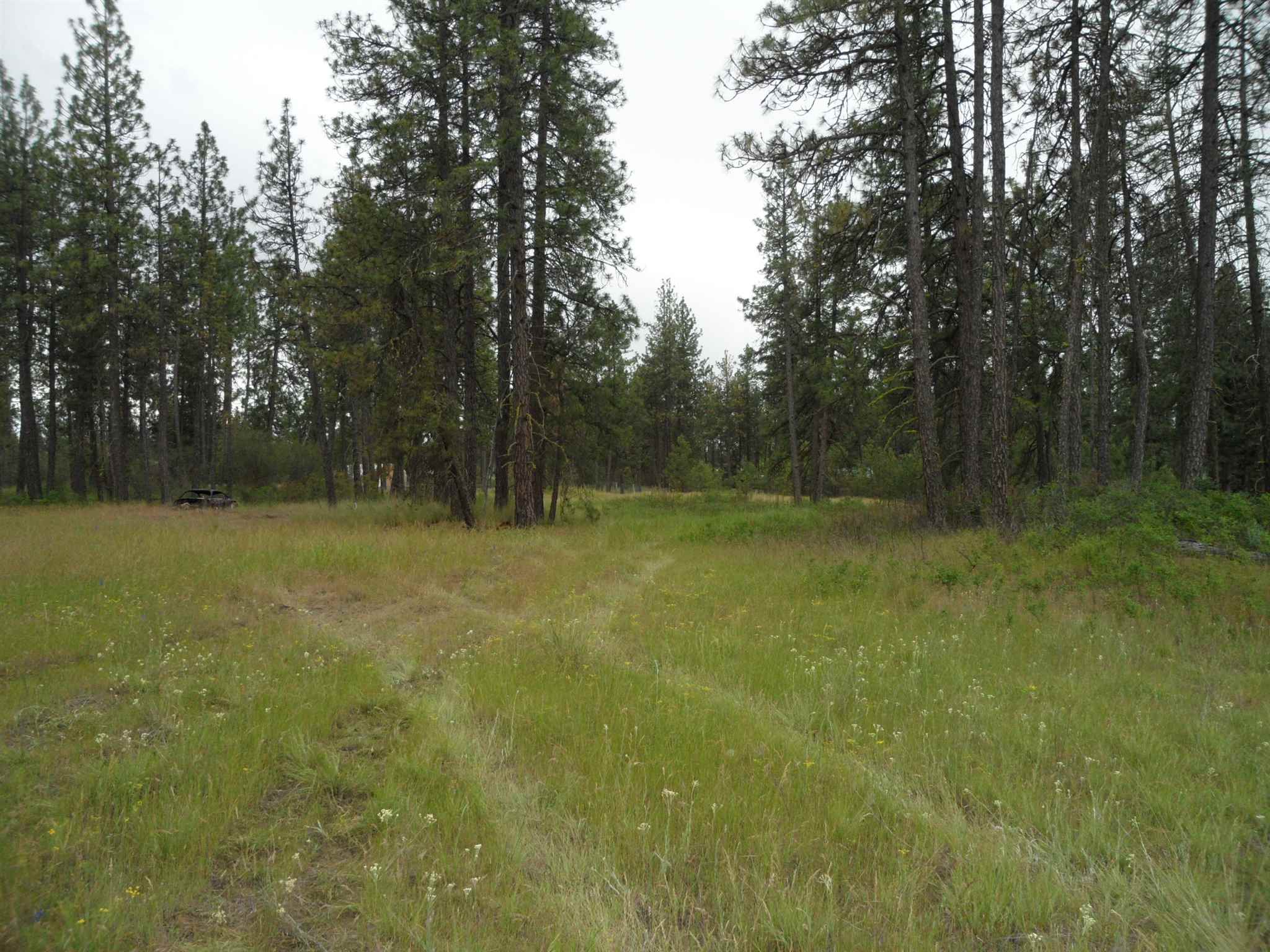 21121 West Salnave Road Cheney, WA 99004 - Photo 2 of 30