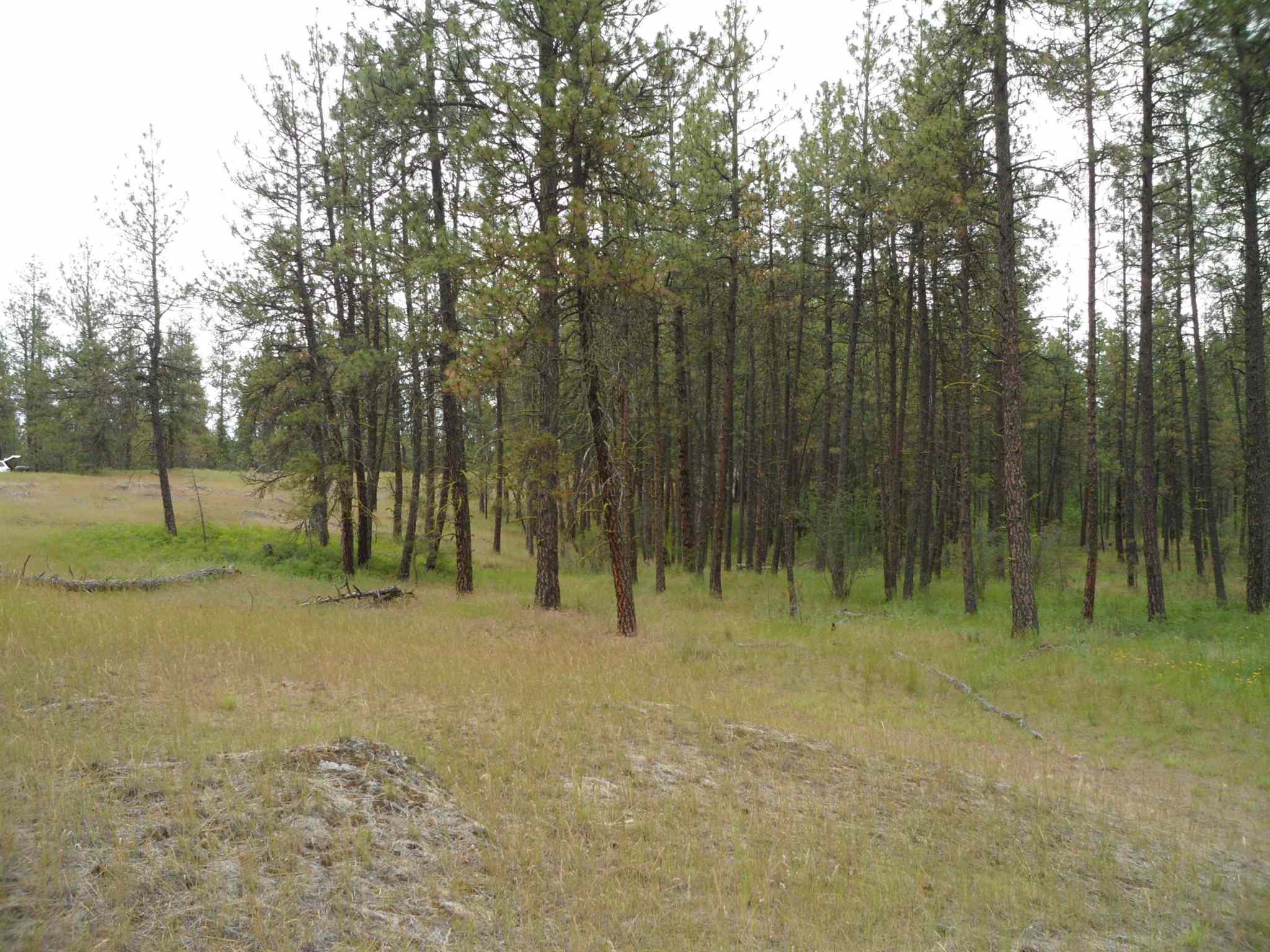 21121 West Salnave Road Cheney, WA 99004 - Photo 11 of 30