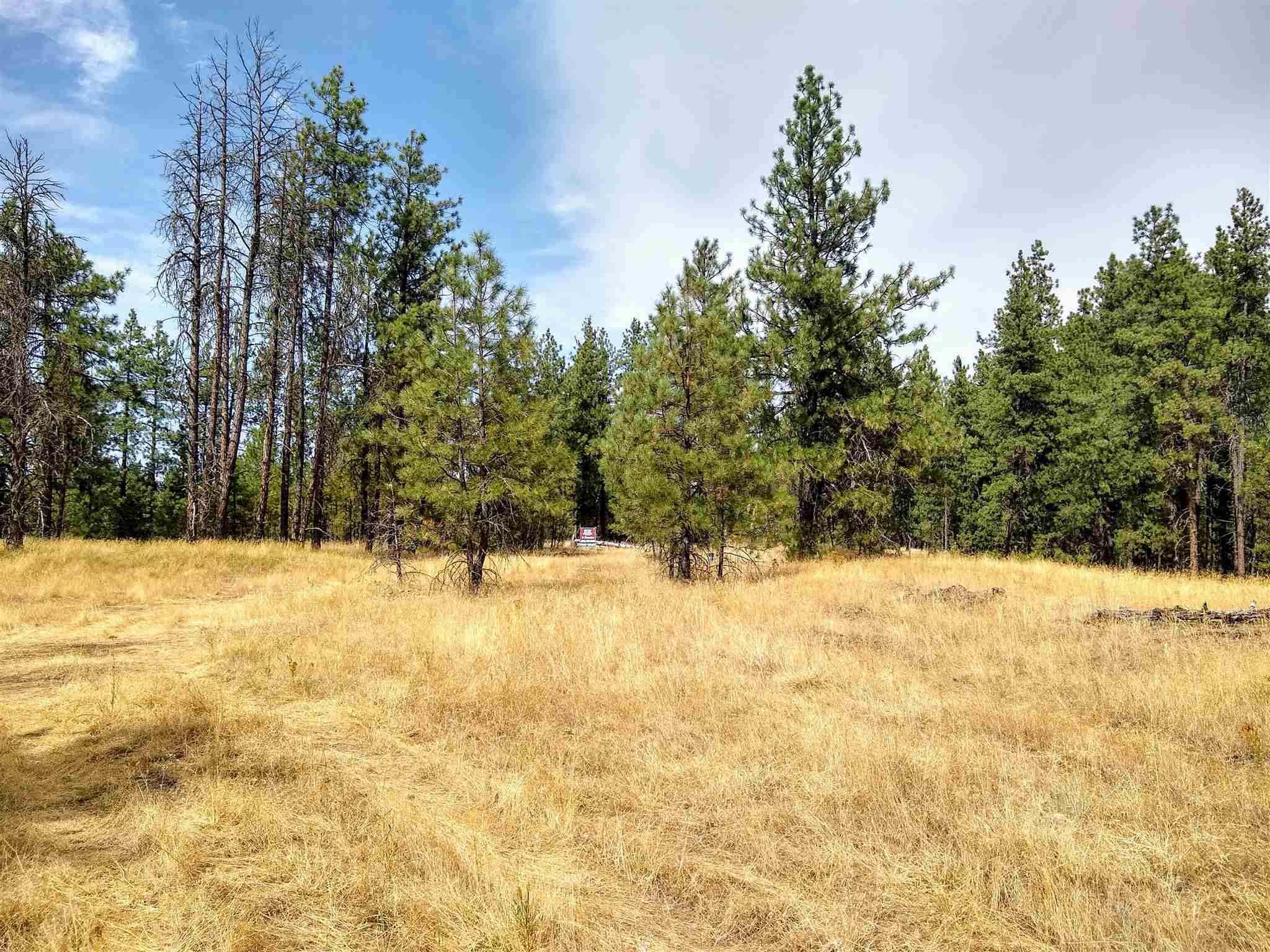 21121 West Salnave Road Cheney, WA 99004 - Photo 12 of 30
