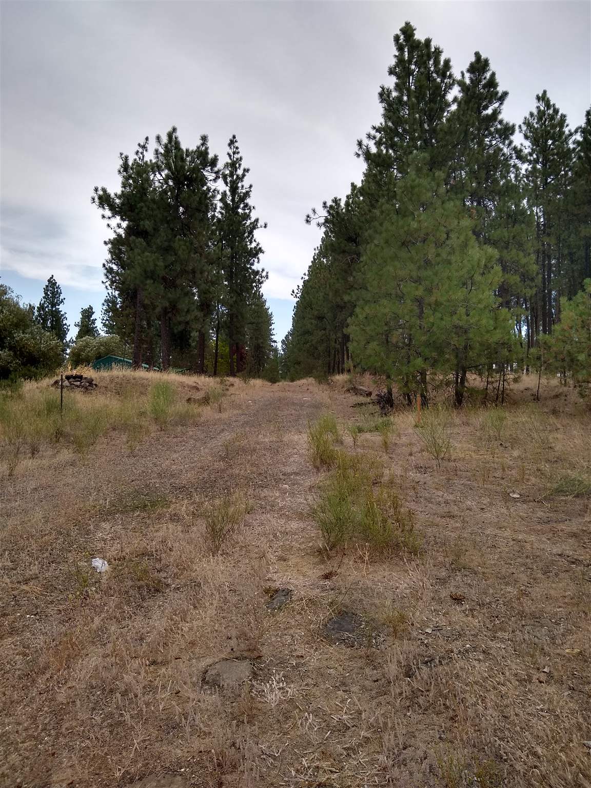 21121 West Salnave Road Cheney, WA 99004 - Photo 13 of 30