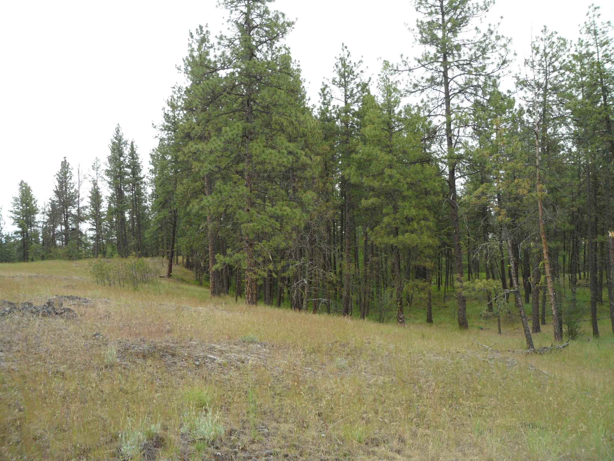 21121 West Salnave Road Cheney, WA 99004 - Photo 15 of 30