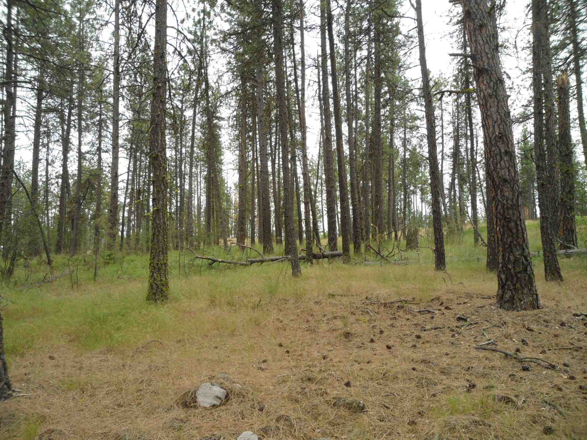 21121 West Salnave Road Cheney, WA 99004 - Photo 19 of 30