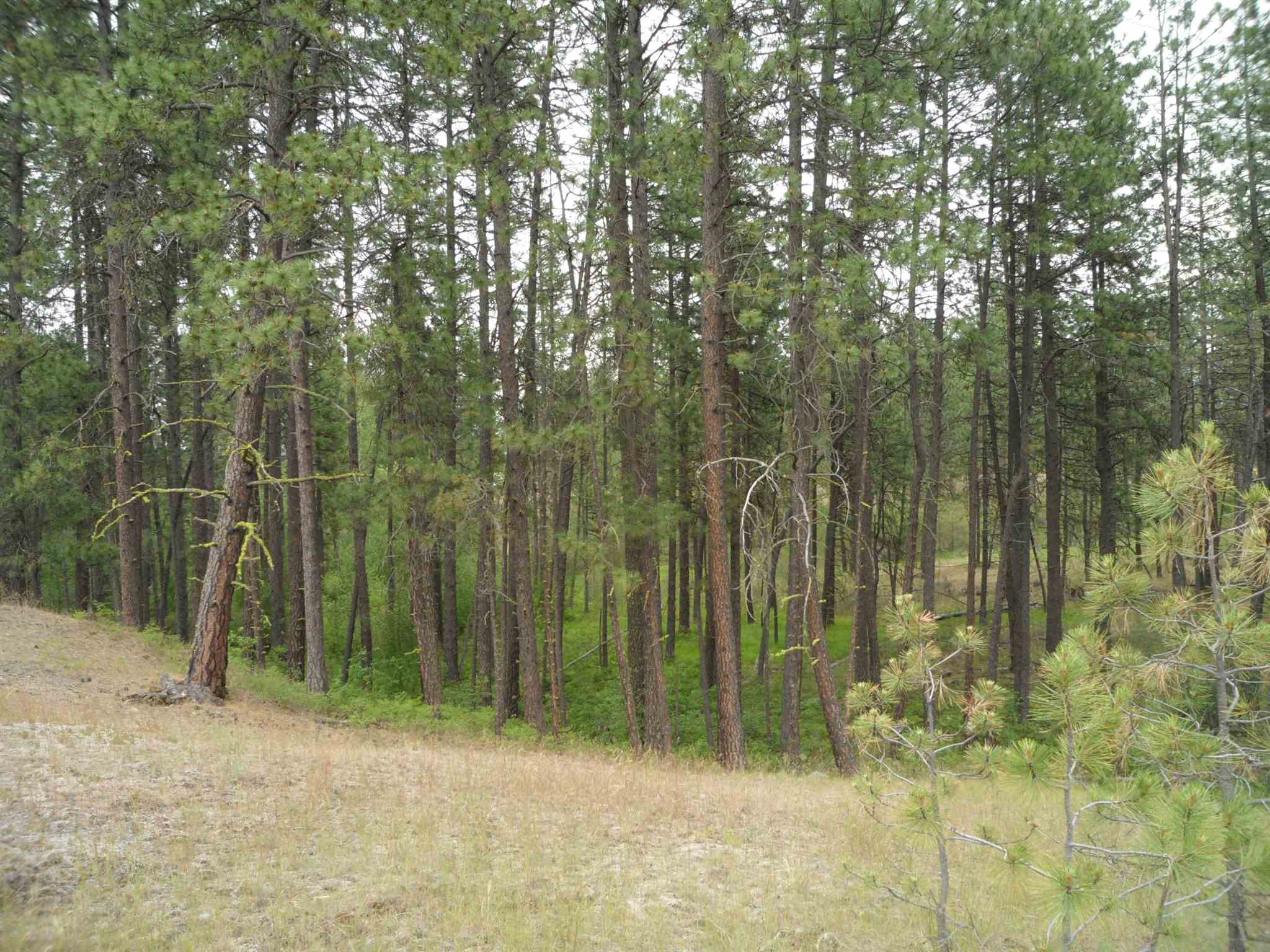 21121 West Salnave Road Cheney, WA 99004 - Photo 20 of 30