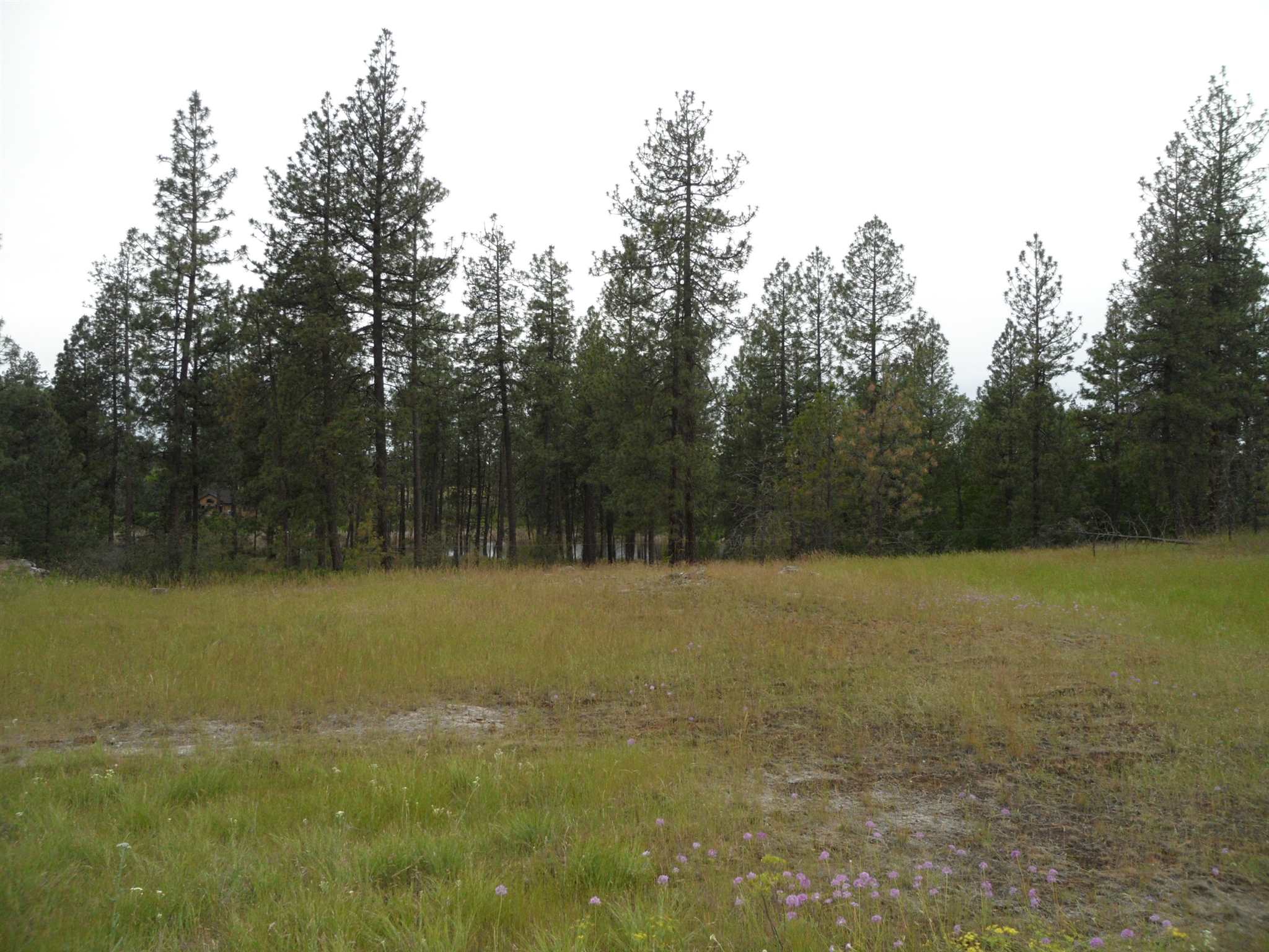 21121 West Salnave Road Cheney, WA 99004 - Photo 3 of 30