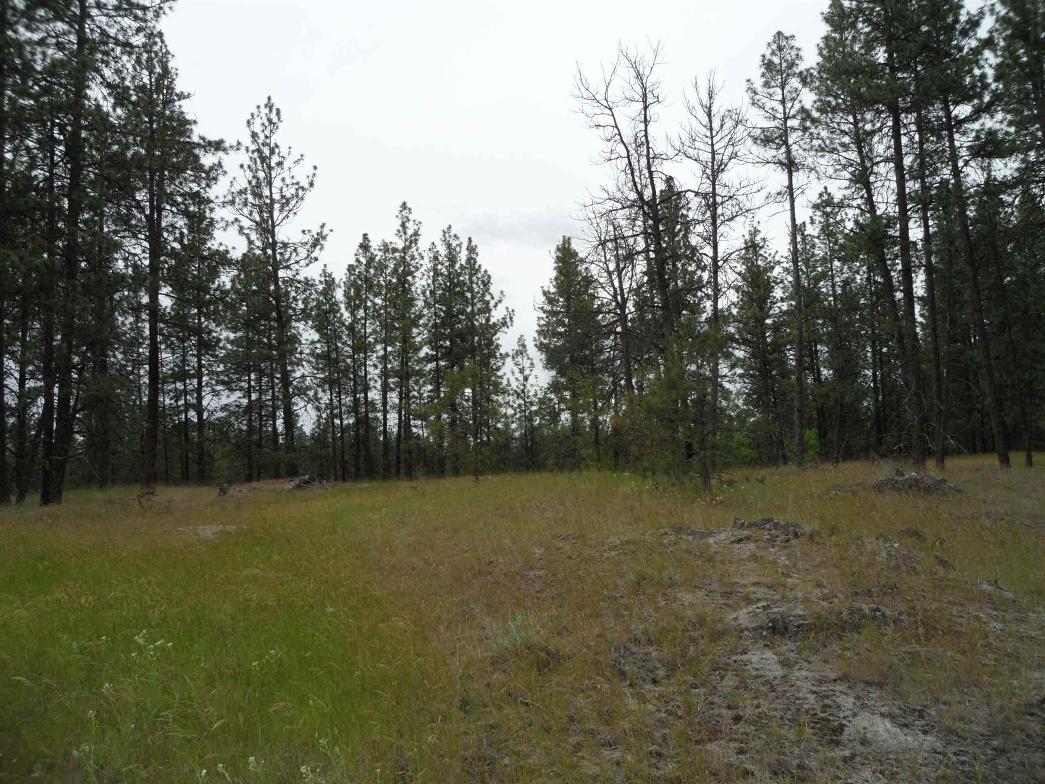 21121 West Salnave Road Cheney, WA 99004 - Photo 21 of 30