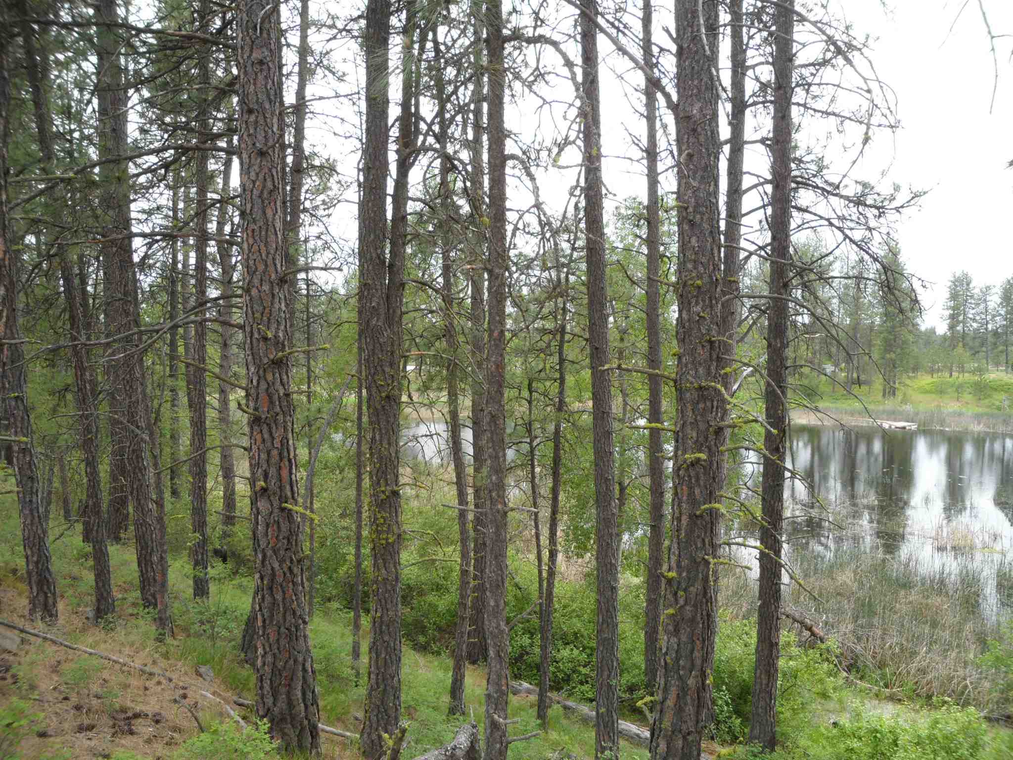 21121 West Salnave Road Cheney, WA 99004 - Photo 25 of 30