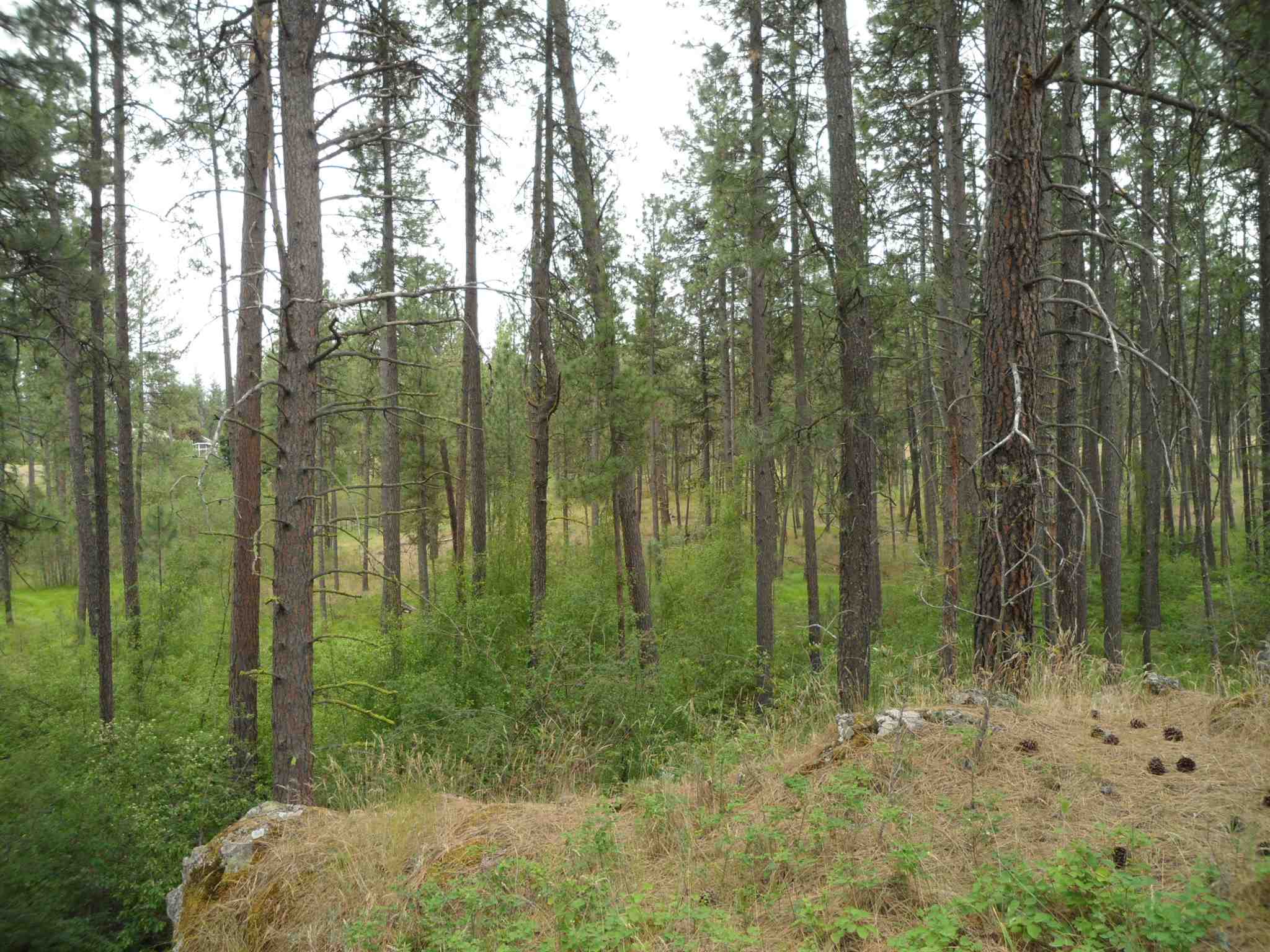 21121 West Salnave Road Cheney, WA 99004 - Photo 27 of 30