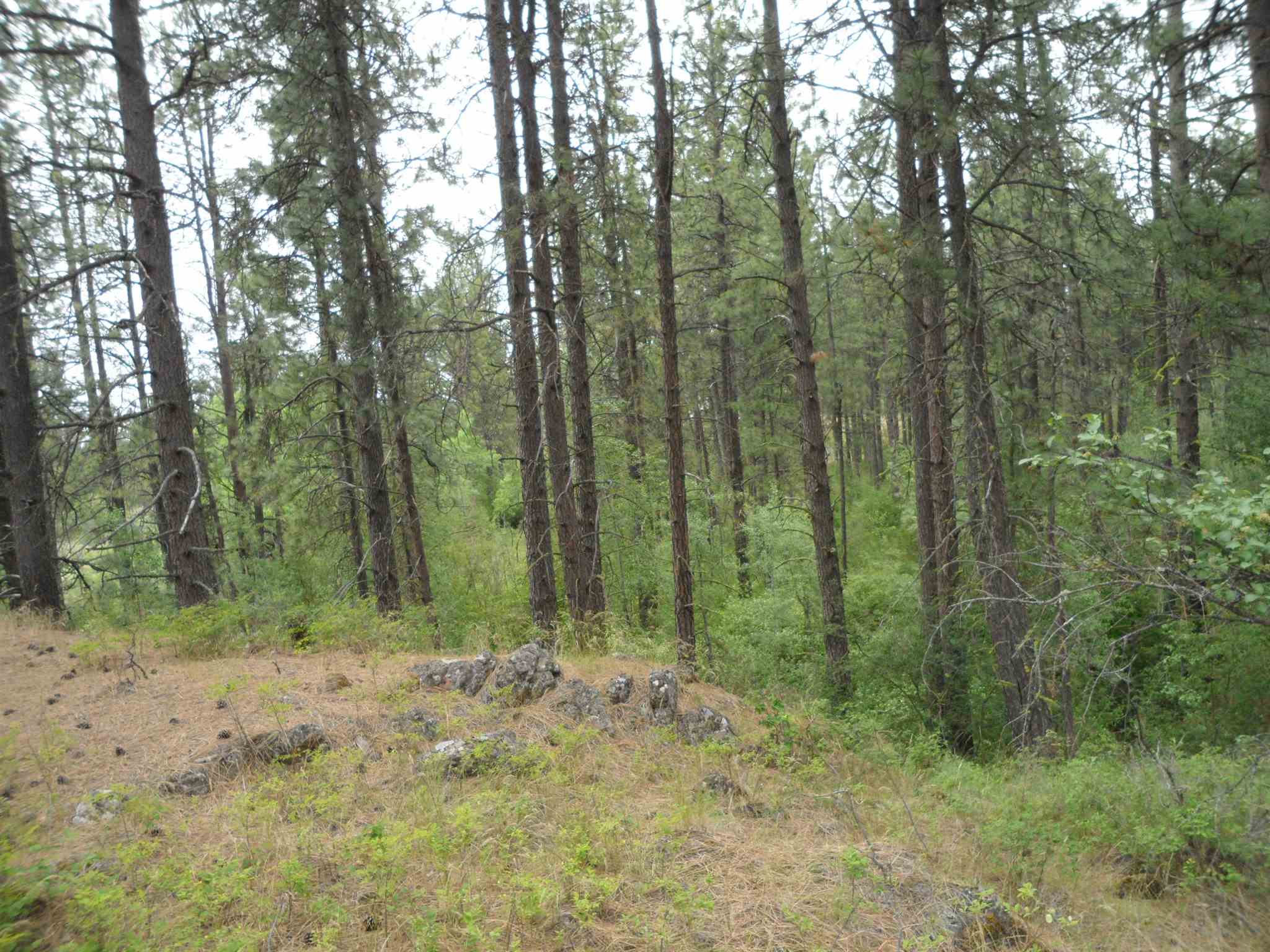 21121 West Salnave Road Cheney, WA 99004 - Photo 28 of 30