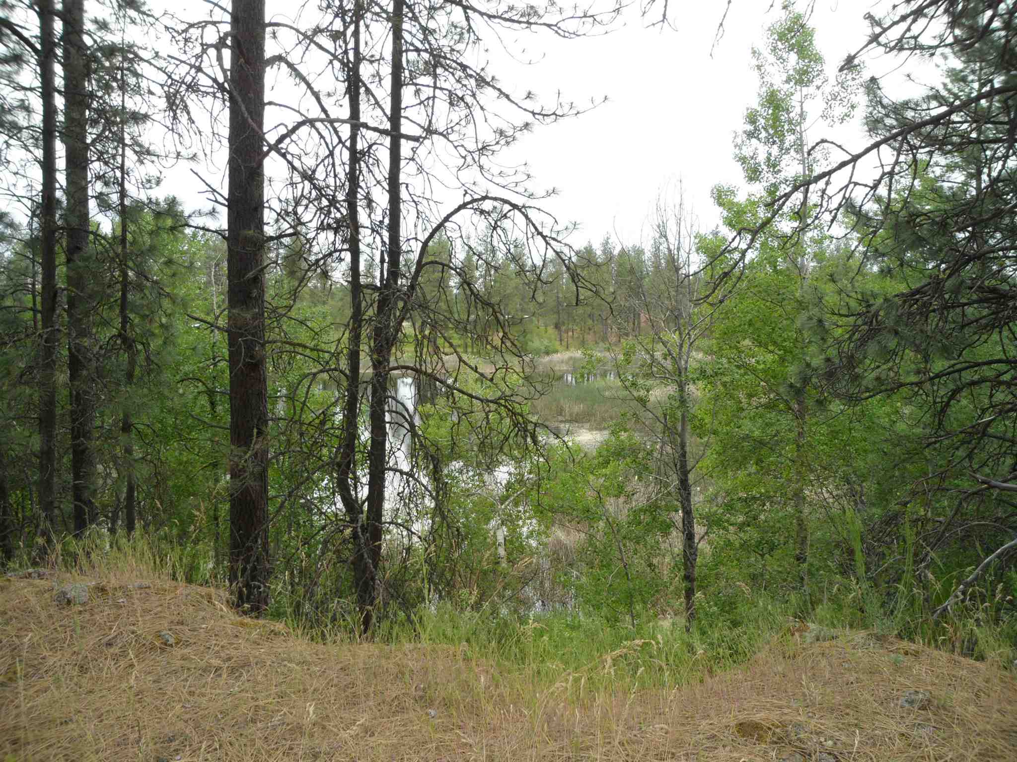 21121 West Salnave Road Cheney, WA 99004 - Photo 30 of 30