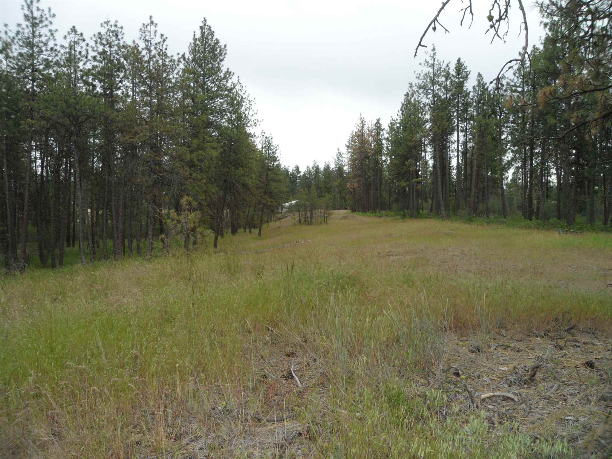 21121 West Salnave Road Cheney, WA 99004 - Photo 4 of 30