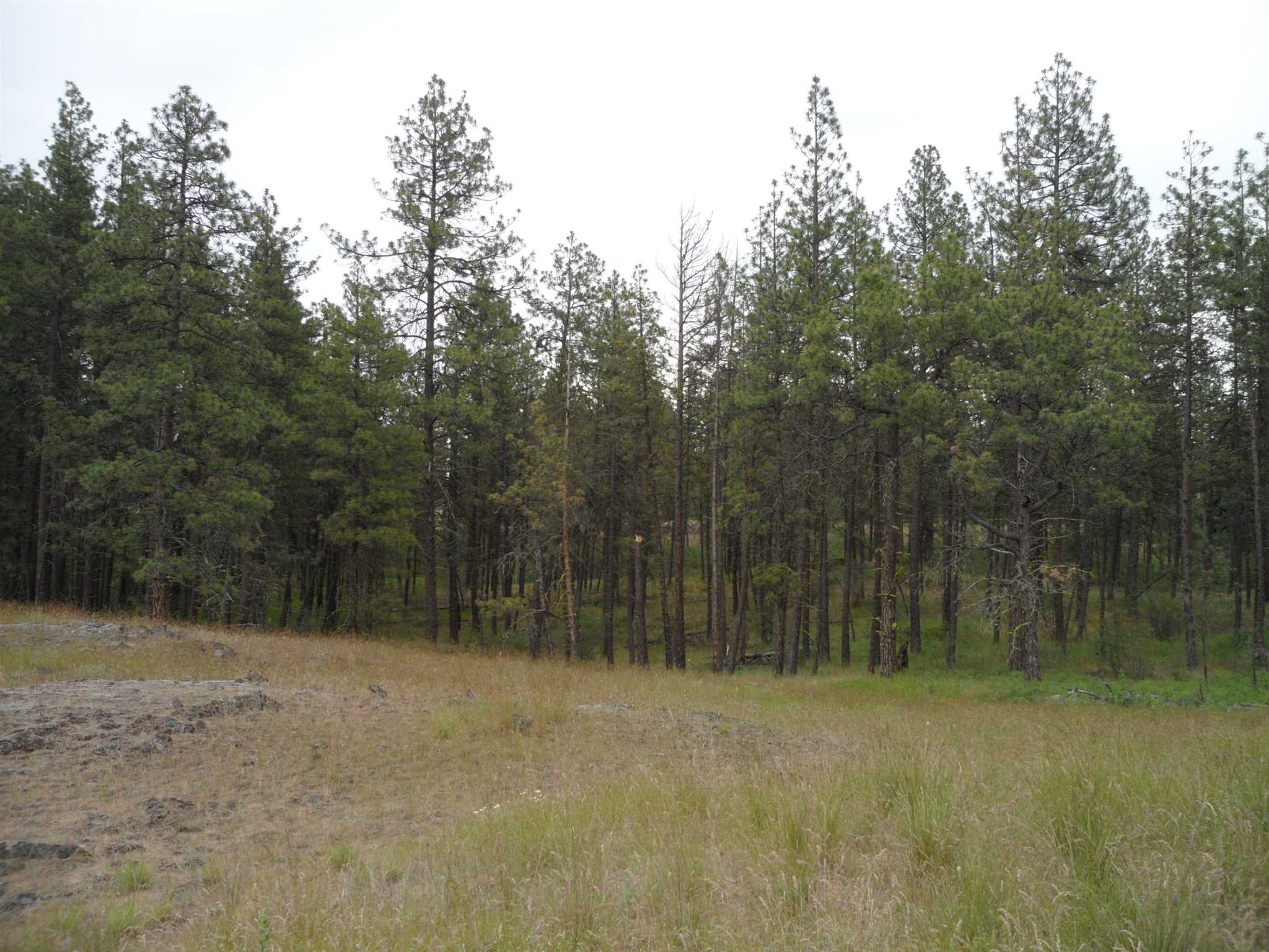 21121 West Salnave Road Cheney, WA 99004 - Photo 5 of 30