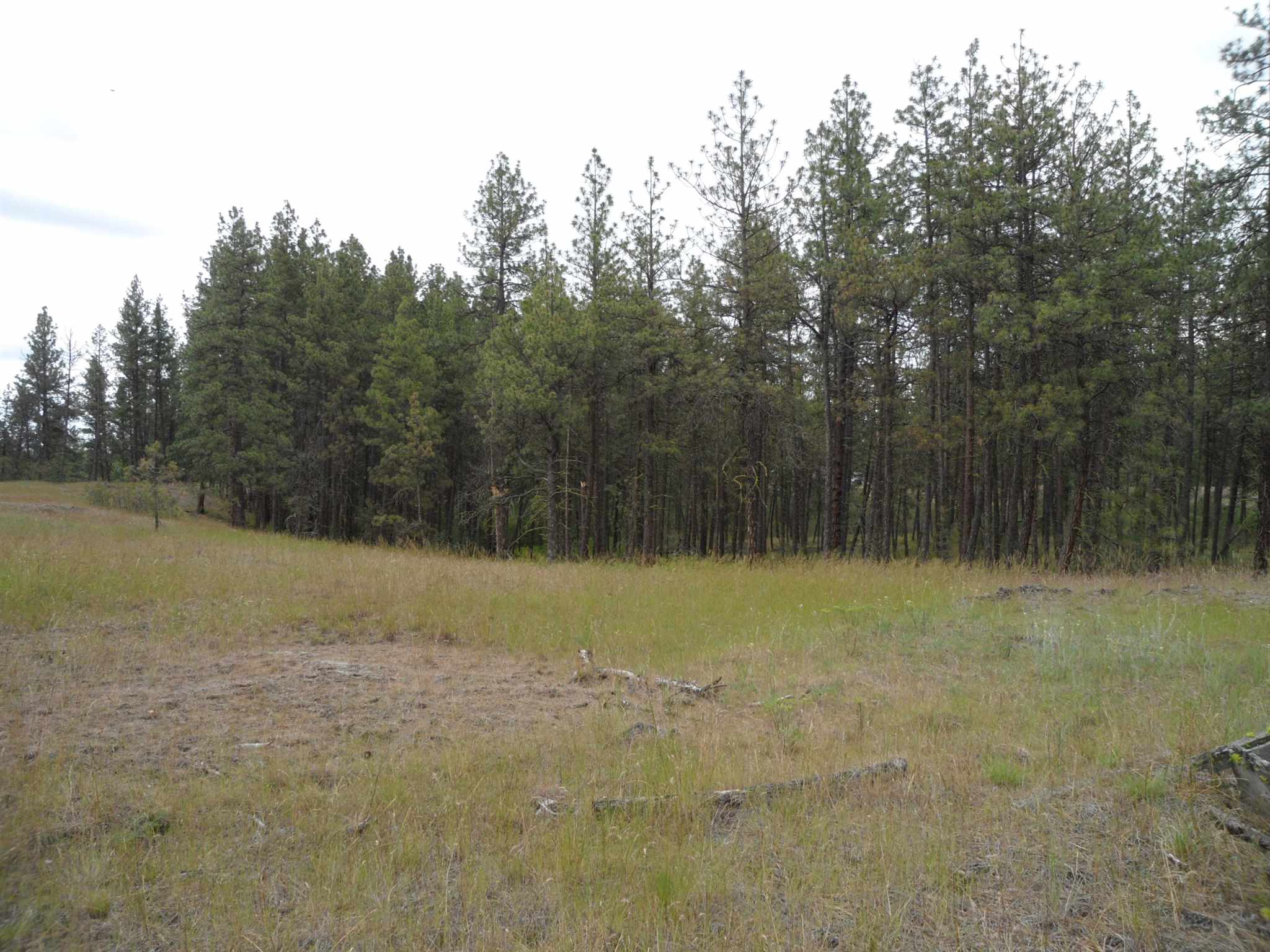 21121 West Salnave Road Cheney, WA 99004 - Photo 6 of 30